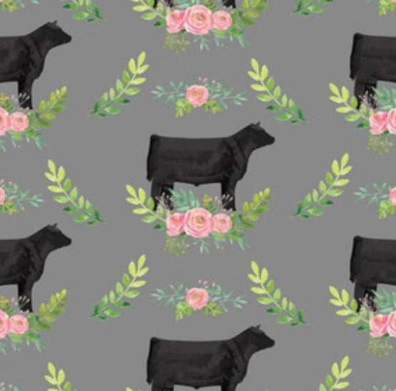 Cows: Angus