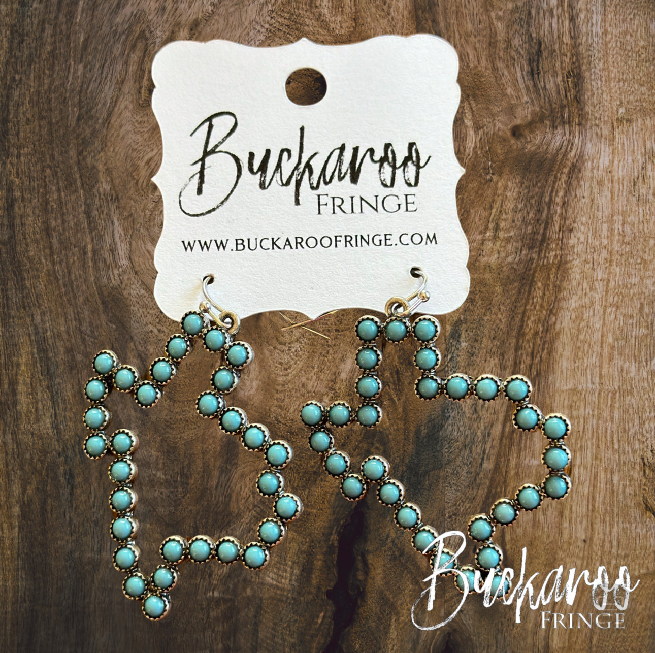 Turquoise Texas Earrings