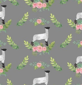 Sheep