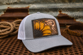 Gray Sunflower