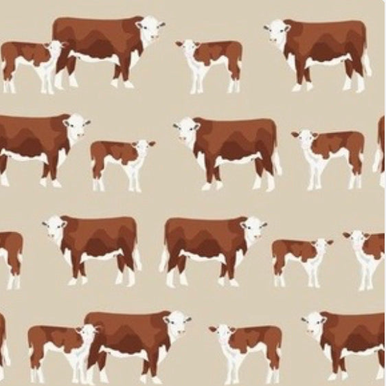 Cows: Hereford