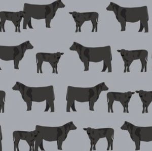 Cows: Angus