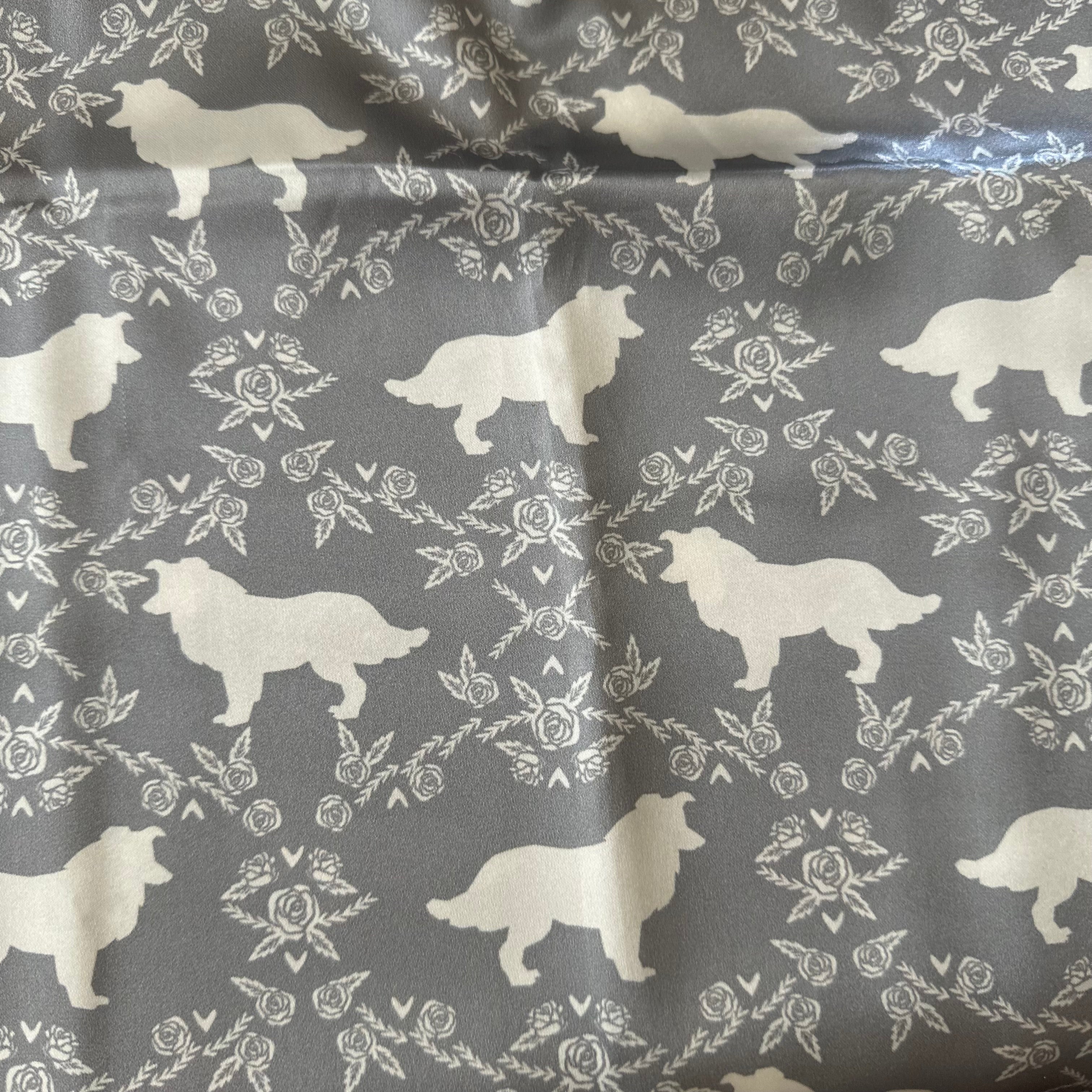 Border Collie - Gray