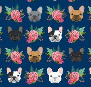 Dogs: French Bull Dogs