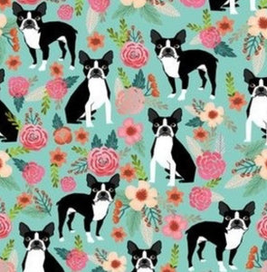 Dogs: Boston Terrier