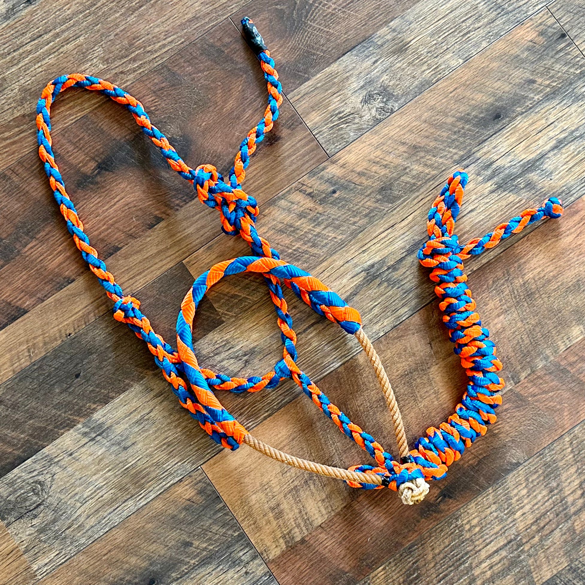 Orange/Blue Cowboy Halter