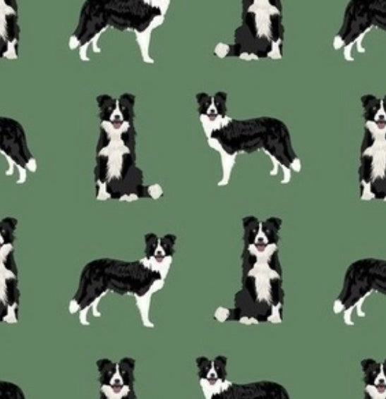 Dogs: Border Collie