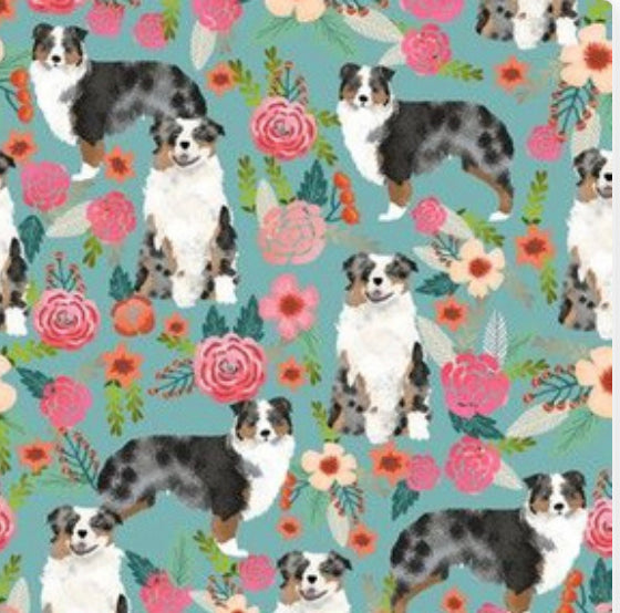 Dogs: Australian Shepherd