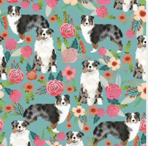 Dogs: Australian Shepherd