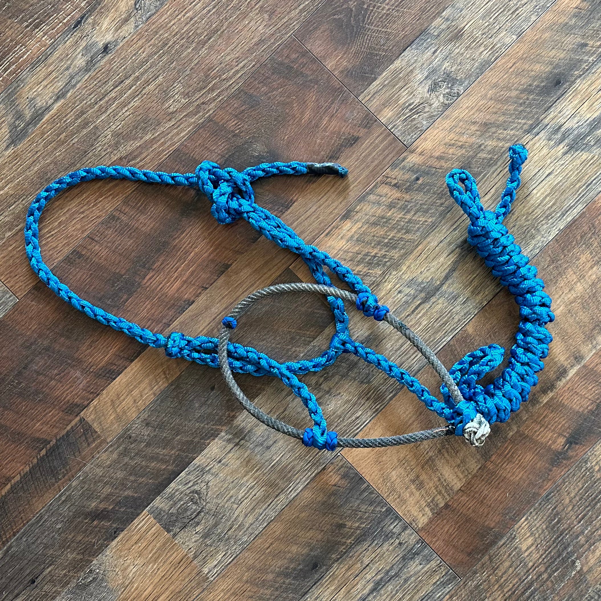 Blue Cowboy Halter