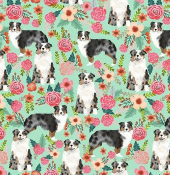 Dogs: Australian Shepherd