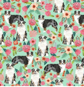 Dogs: Australian Shepherd