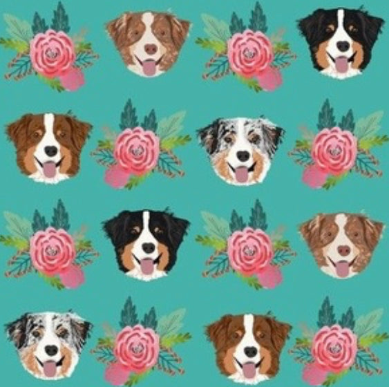 Dogs: Australian Shepherd